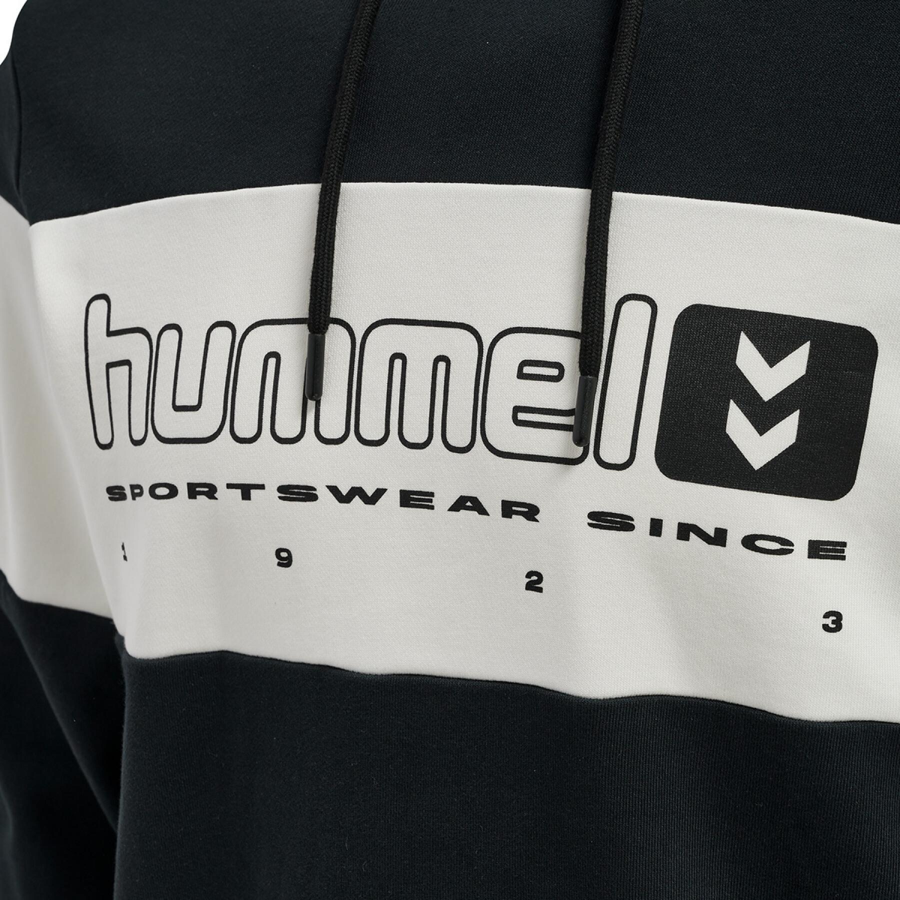 Sweatshirt med huva Hummel hmlLGC musa