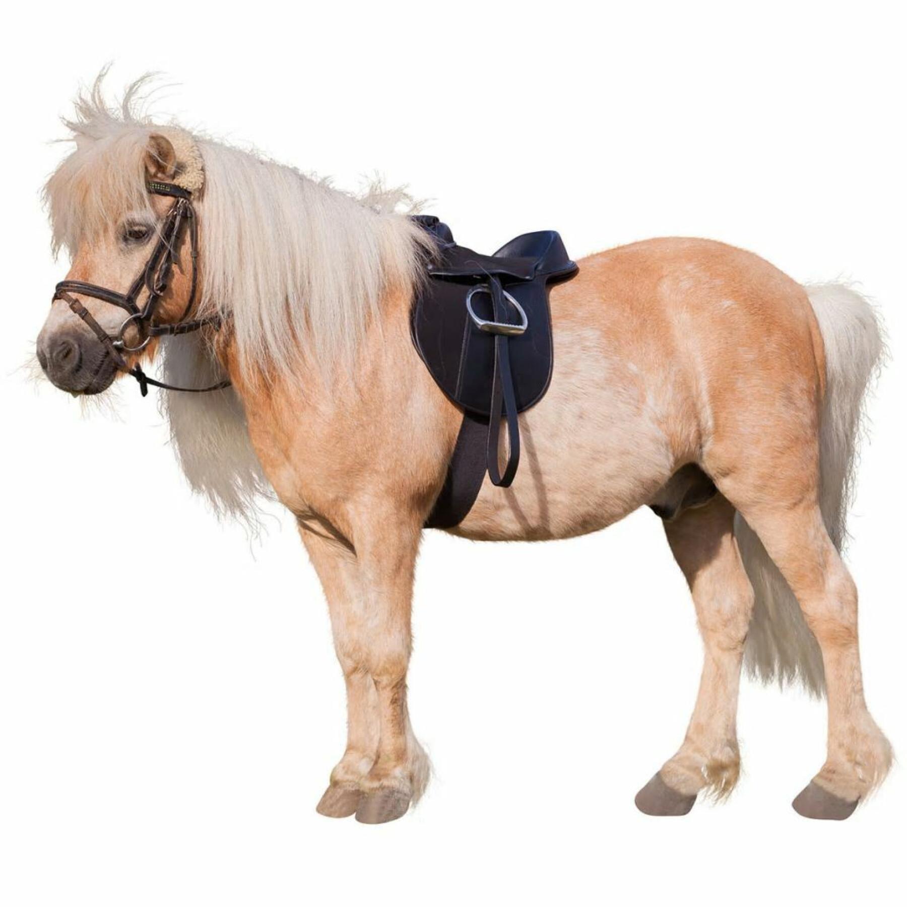 Monterad persienn Kerbl economy pony