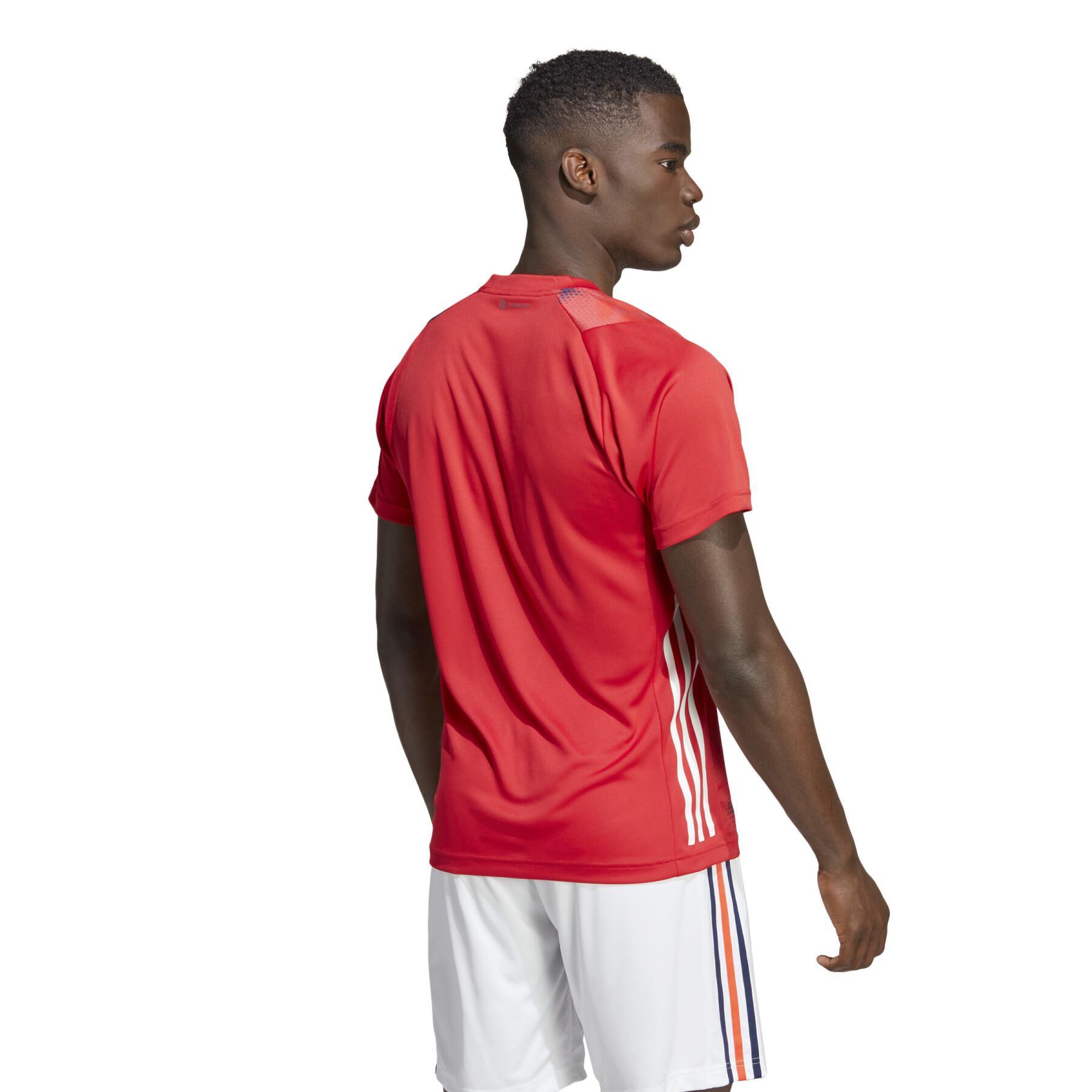 Officiell tränings-T-shirt för det franska landslaget France 2023/24
