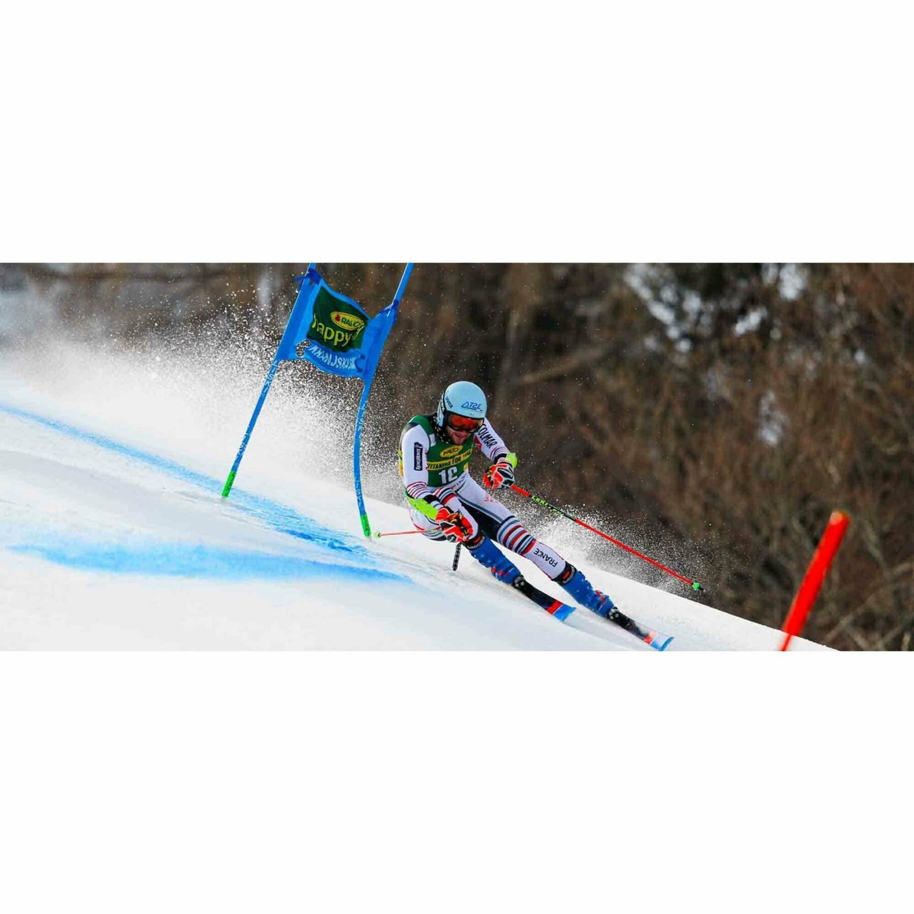 Skidor Dynastar Speed Course Wc Fis Gs R22