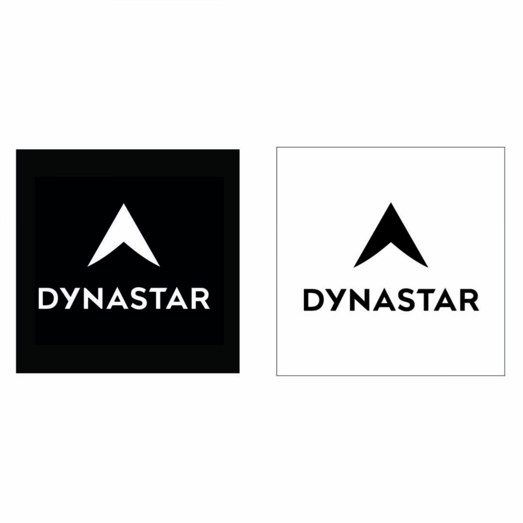 Klistermärken Dynastar L100 corporate