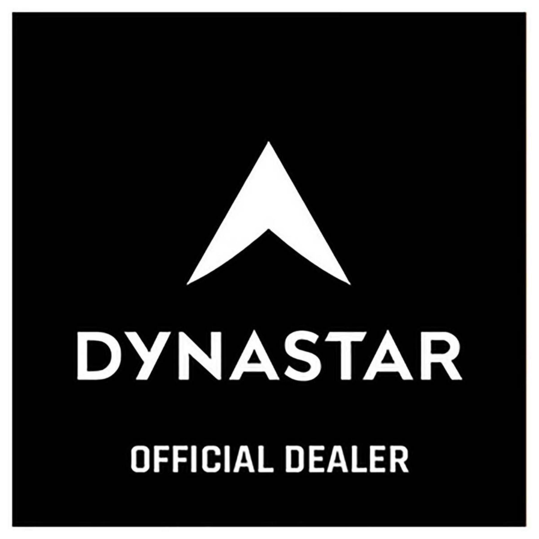 Klistermärken Dynastar L2 official dealers