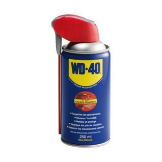 Spray med dubbla positioner WD40 250mL