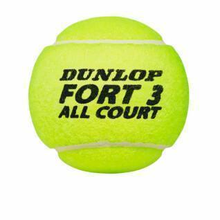 Tennisbollar Dunlop Fort all court ts 4tin