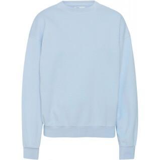 Sweatshirt med rund halsringning Colorful Standard Organic oversized polar blue