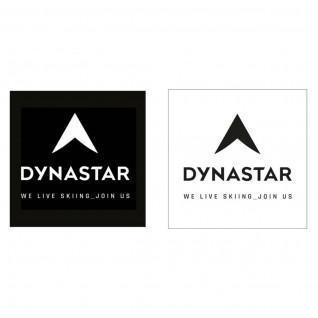Klistermärken Dynastar L10 corporate