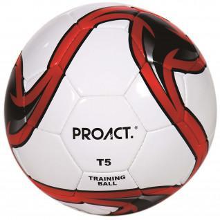 Fotboll Proact Challenger