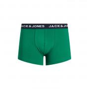 Boxershorts från Batch 5 Jack & Jones Summer print