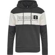 Sweatshirt med huva Hummel hmlLGC musa