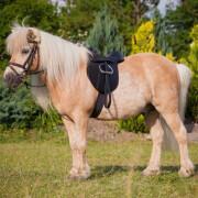 Monterad persienn Kerbl economy pony