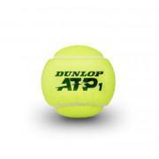 Tennisbollar Dunlop ATP 4tin