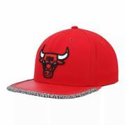 Kapsel dag 3 Chicago Bulls 2021/22