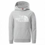 Sweatshirt för barn The North Face Drew