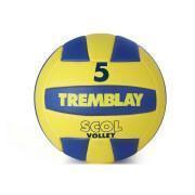 tremblay scol'volleyboll